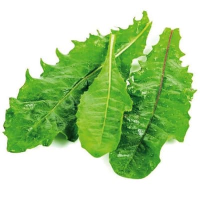 Hindibağ (150 gr) Greenada