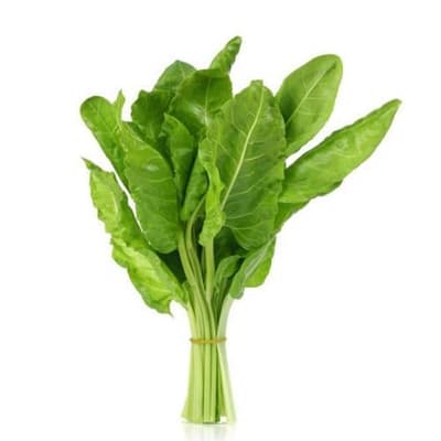 Organik Pazı (demet) Salih Özkan Çiftliği-Bursa