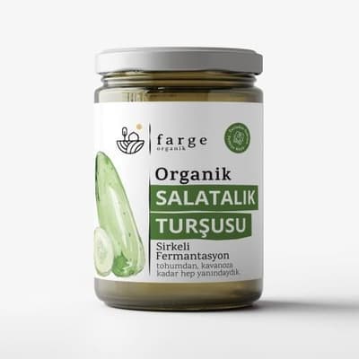 Organik Salatalık Turşusu (600 gr) Farge
