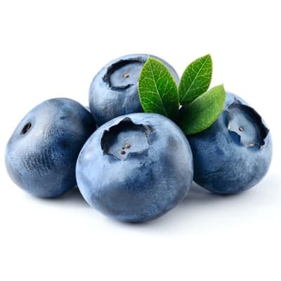 Yaban Mersini (125 gr) Excelente