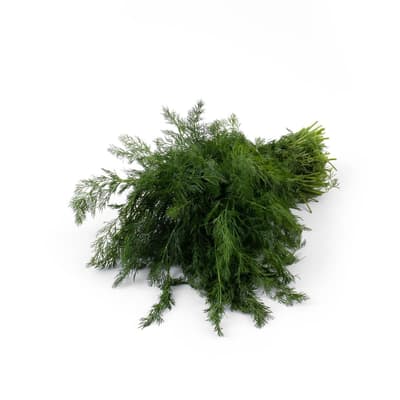 Organik Dereotu Bağ