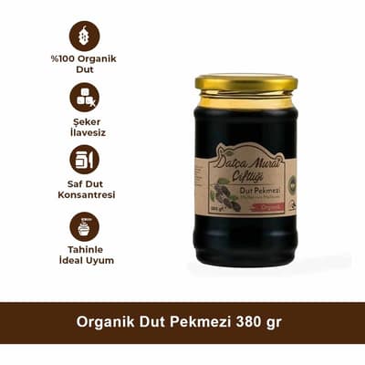 Organik Dut Pekmezi 380 gr