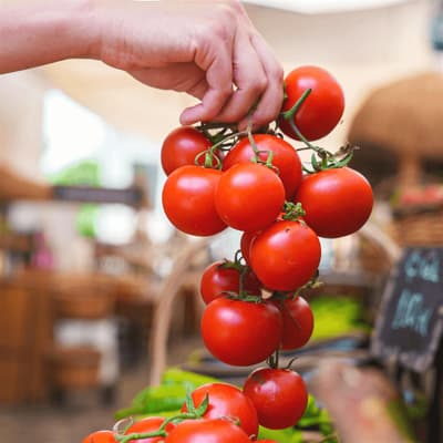 Organik Salkım Domates 500 gr