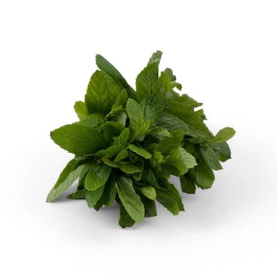 Organik Taze Nane Bağ