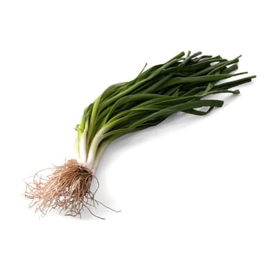 Organik Taze Soğan Bağ