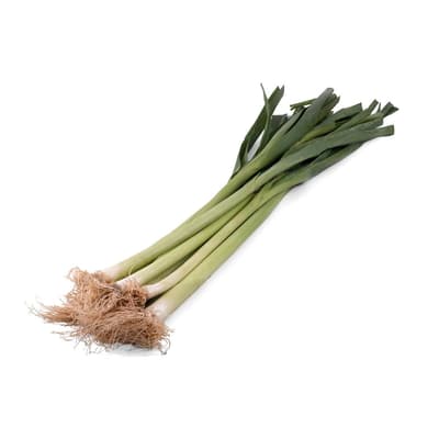 Organik Pırasa 500 Gr