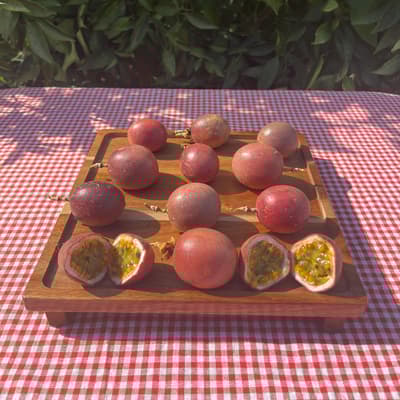 Çarkıfelek (2 Adet)