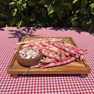 Organik Barbunya (500 Gr)