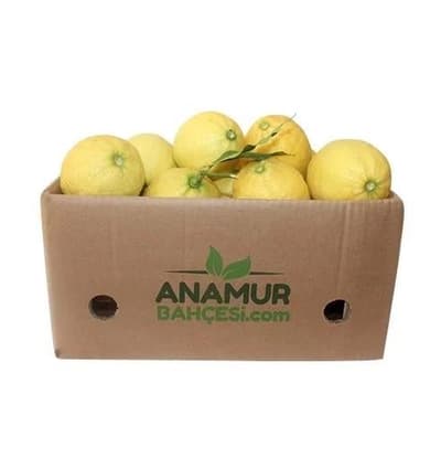 Organik İtalyan Limon (10 Kg)