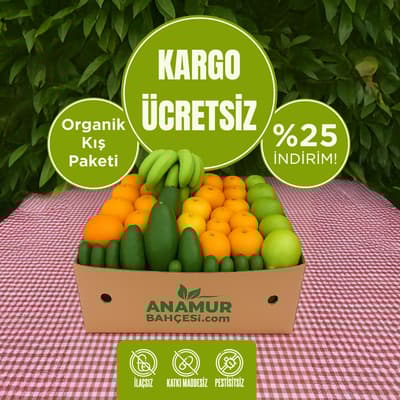 Organik Kış Paketi