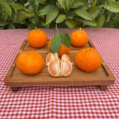 Organik Mandalina (1 Kg)