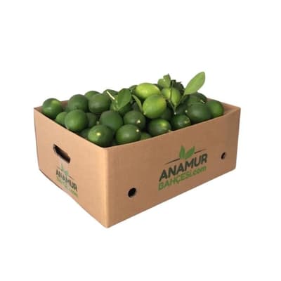 Organik Mandalina (10 Kg)
