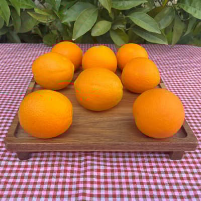 Organik Sıkmalık Portakal (1 Kg)