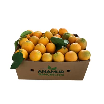 Organik Sıkmalık Portakal (10 Kg)