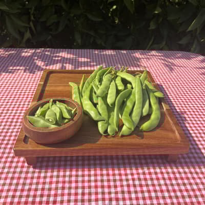 Organik Taze Fasulye (500 Gr)