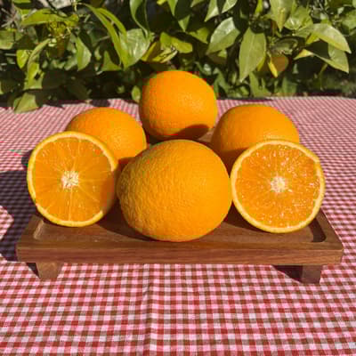 Organik Valencia Portakal (1 Kg)