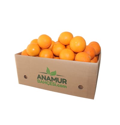 Organik Valencia Portakal (10 Kg)