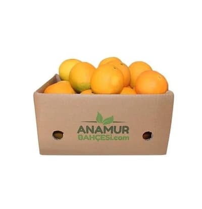 Organik Washington Portakal (10 Kg)