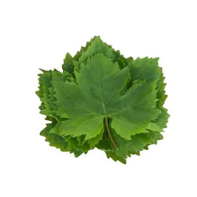 Taze Asma Yaprağı (200 Gr)