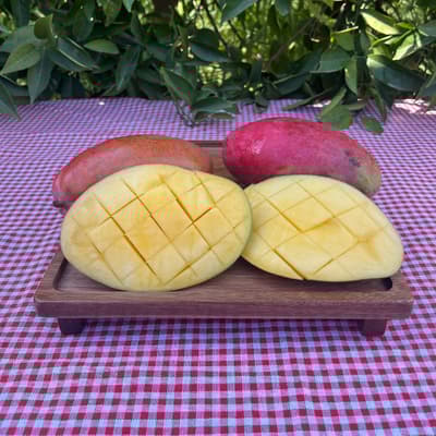 Yerli Mango (1 Kg)