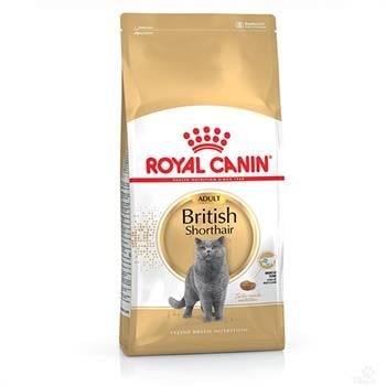 Royal Canin British Shorthair Kedi Maması 4 Kg - 3182550756440
