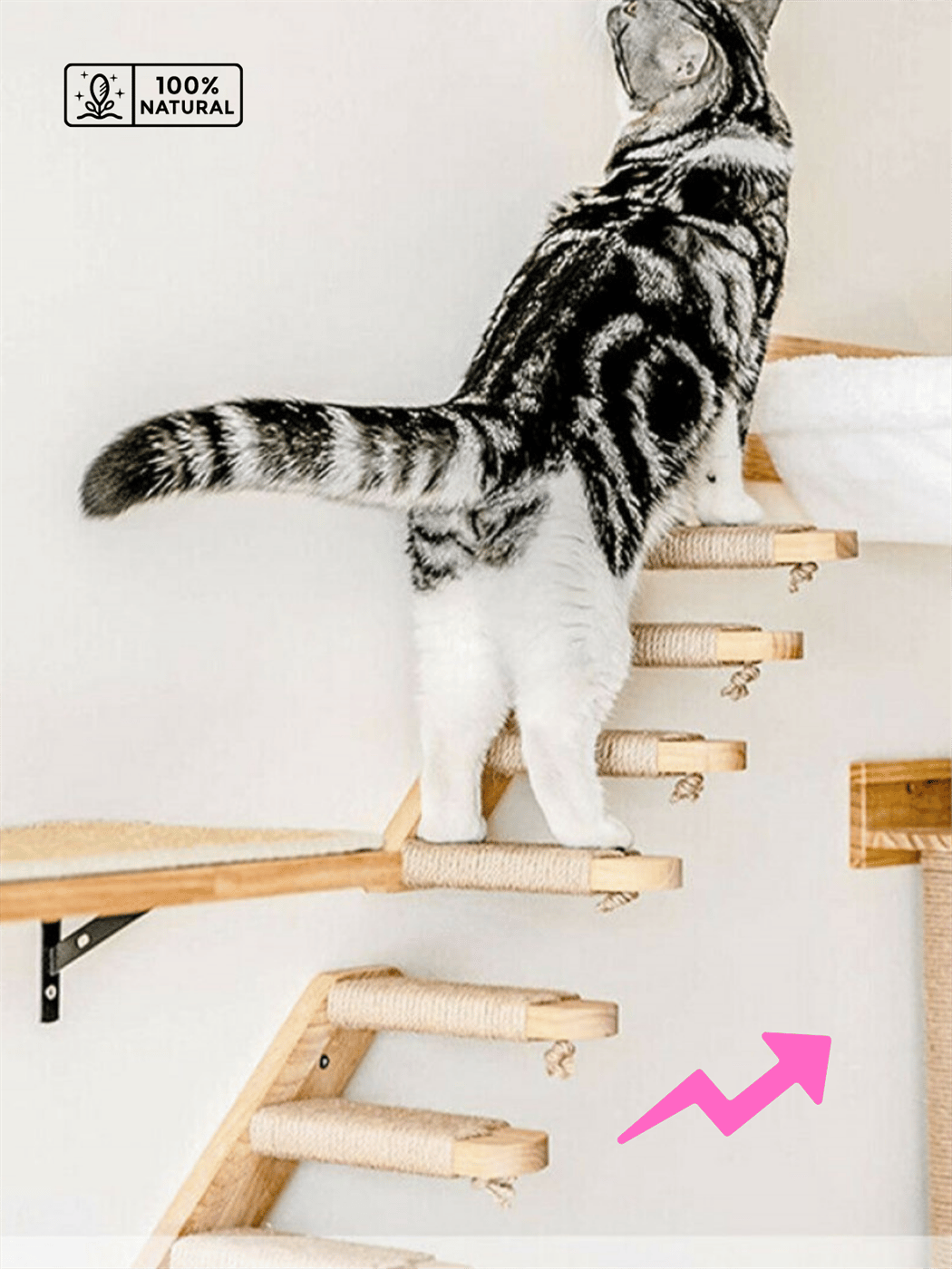 Kedi merdiveni, Kedi tırmanma merdiveni, Doğal Ahşap İkili Merdiven Seti,  Sol Model Beyaz