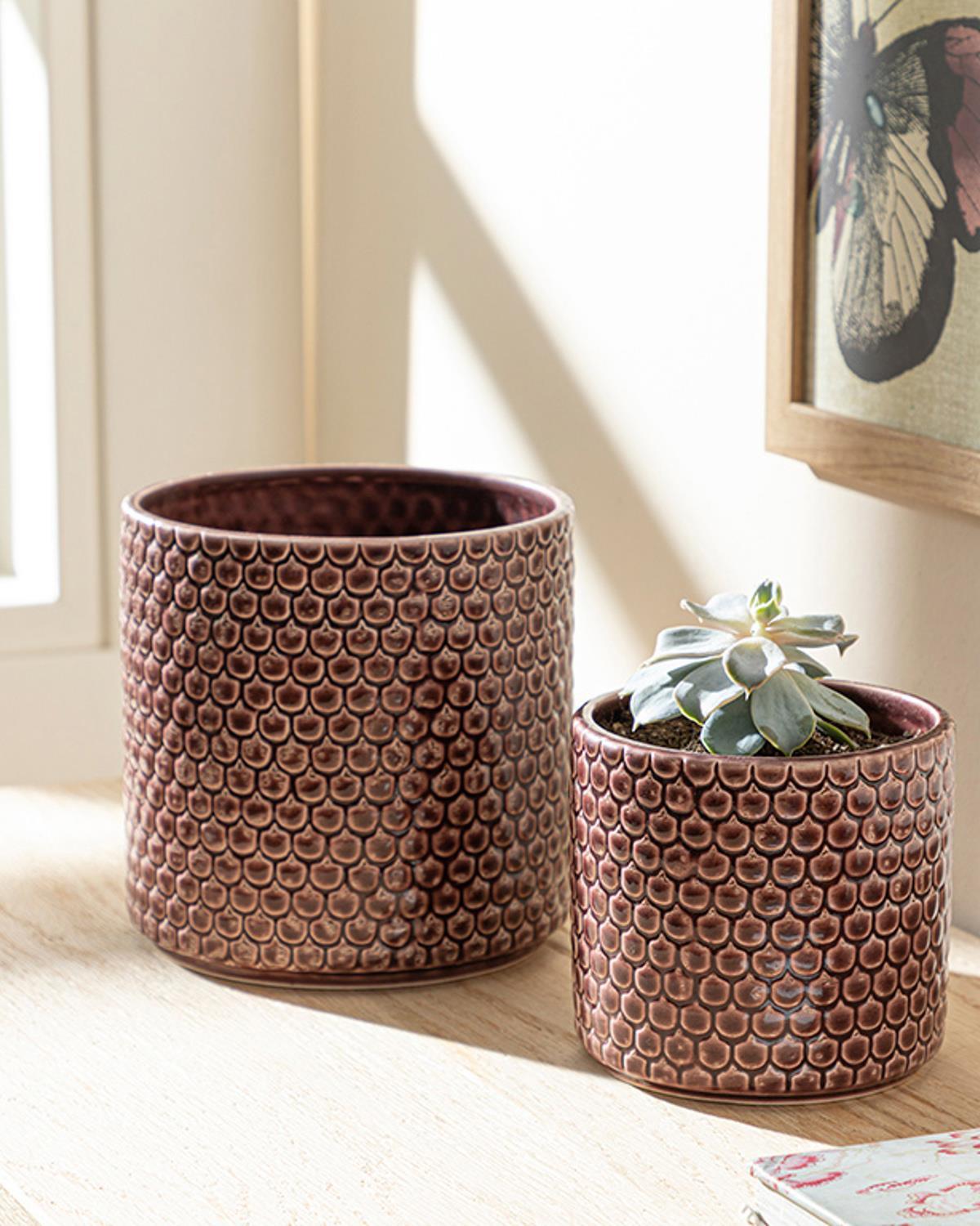 Ghiveci pentru flori, Jacey, ceramică, 15,5x15,5x15,2 cm, bordo