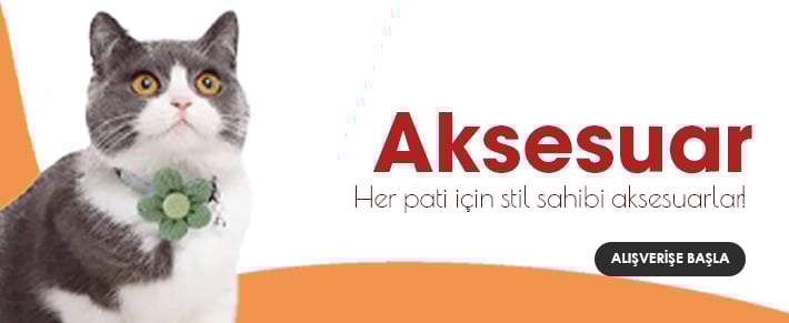 Aksesuar