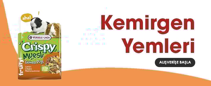 Kemirgen