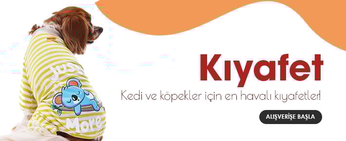 Kıyafet