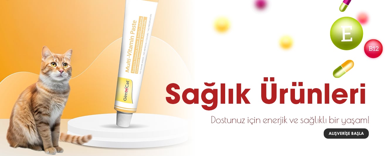Sağlık