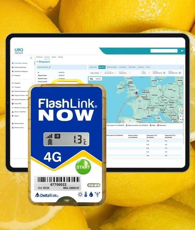 FlashLink® NOW 4G Gerçek Zamanlı Transit Kaydedici 