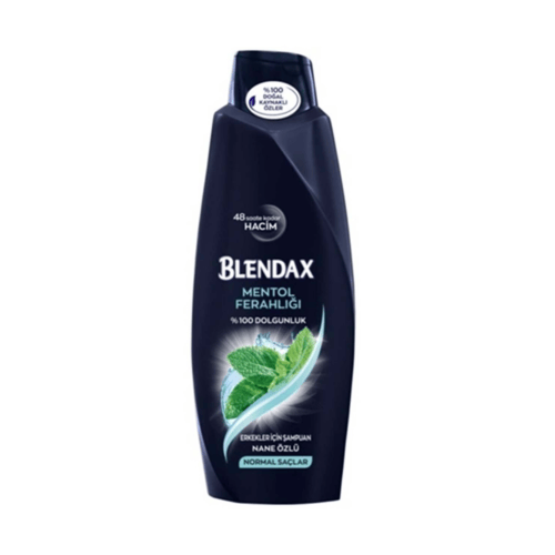 BLENDAX ERKEK MENTOL ŞAMPUAN 500 ML
