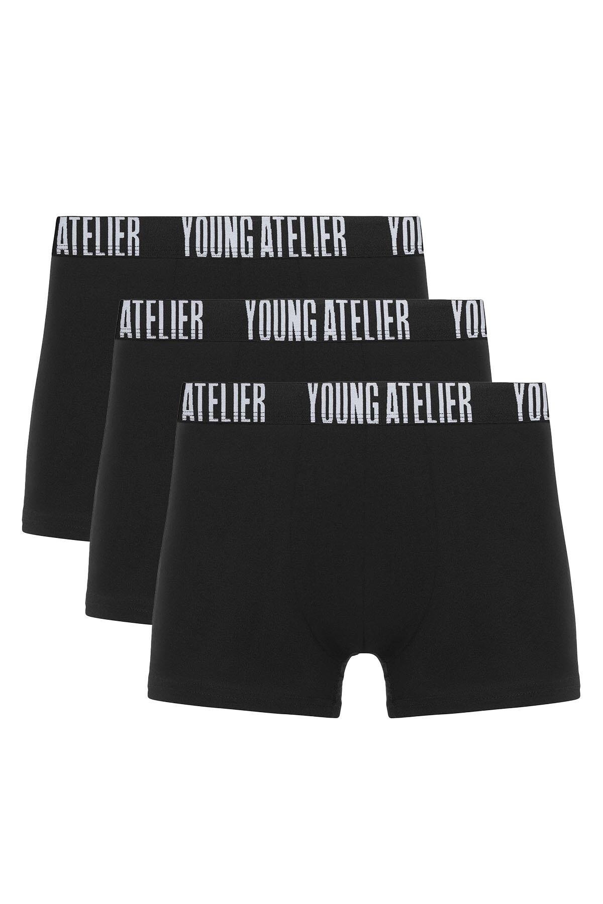 3 Lü Erkek Boxer Paketi Desen-8