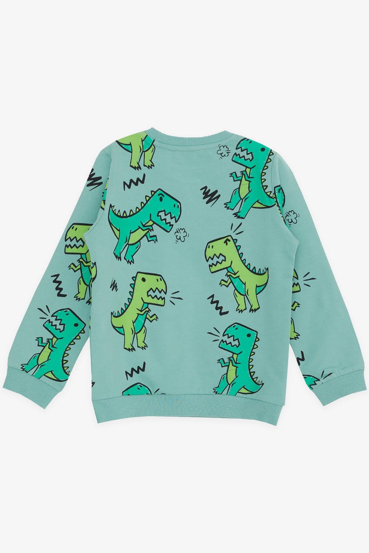 Erkek Cocuk Sweatshirt Dinazor Desenli Mint Ye ili 5 Ya S cac k Cocuk Sweatleri Breeze