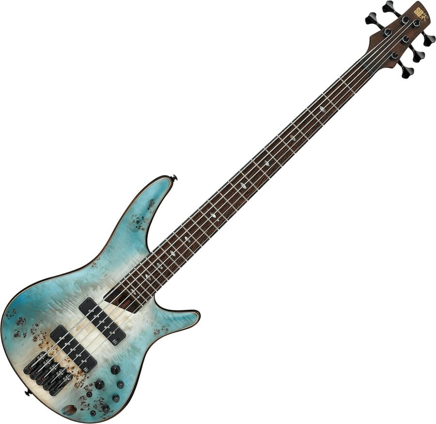 Ibanez sr1605b hotsell