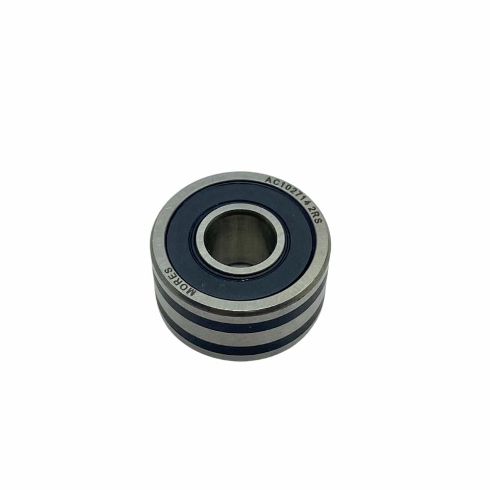 ALTERNATOR RULMANI
