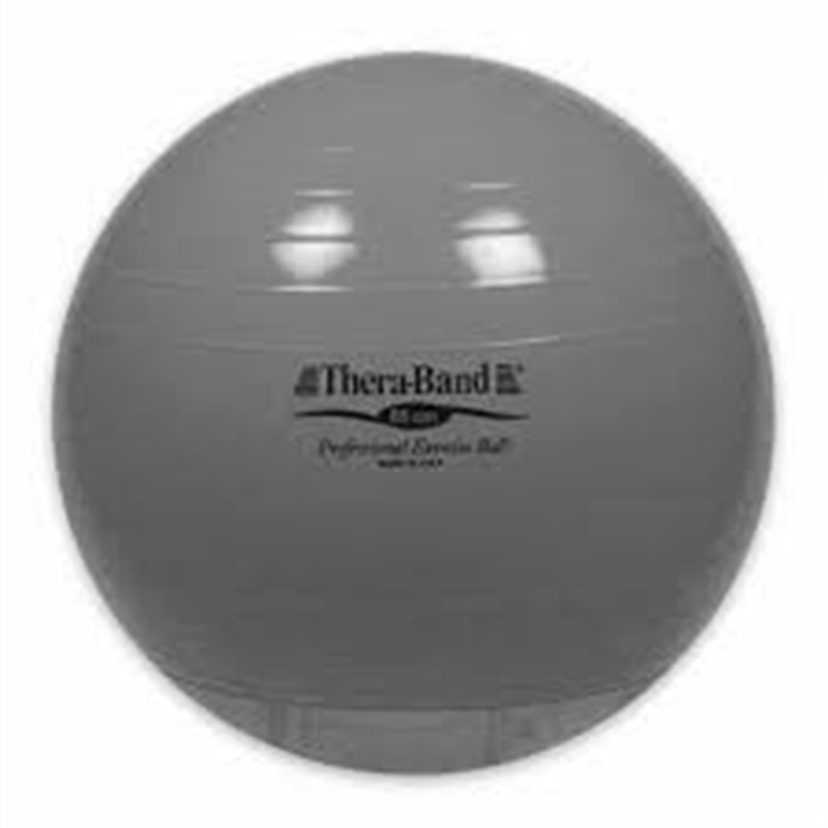 Thera-Band ABS Pilates Topu - Gymball 85 Cm - Silver | Oyunterapi Market