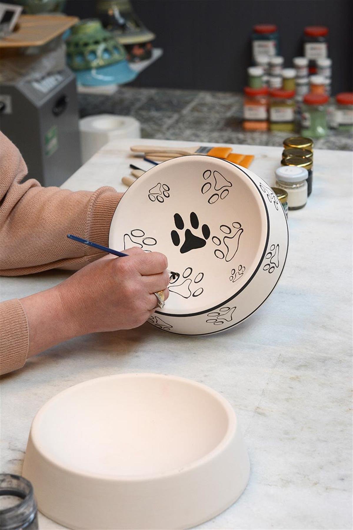 Cat And Dog Food Plate Ceramic Bisque