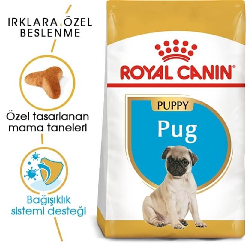 Royal Canin Pug 25 Junior Yavru Köpek Maması 1,5 Kg – Sağlıklı Gelişim