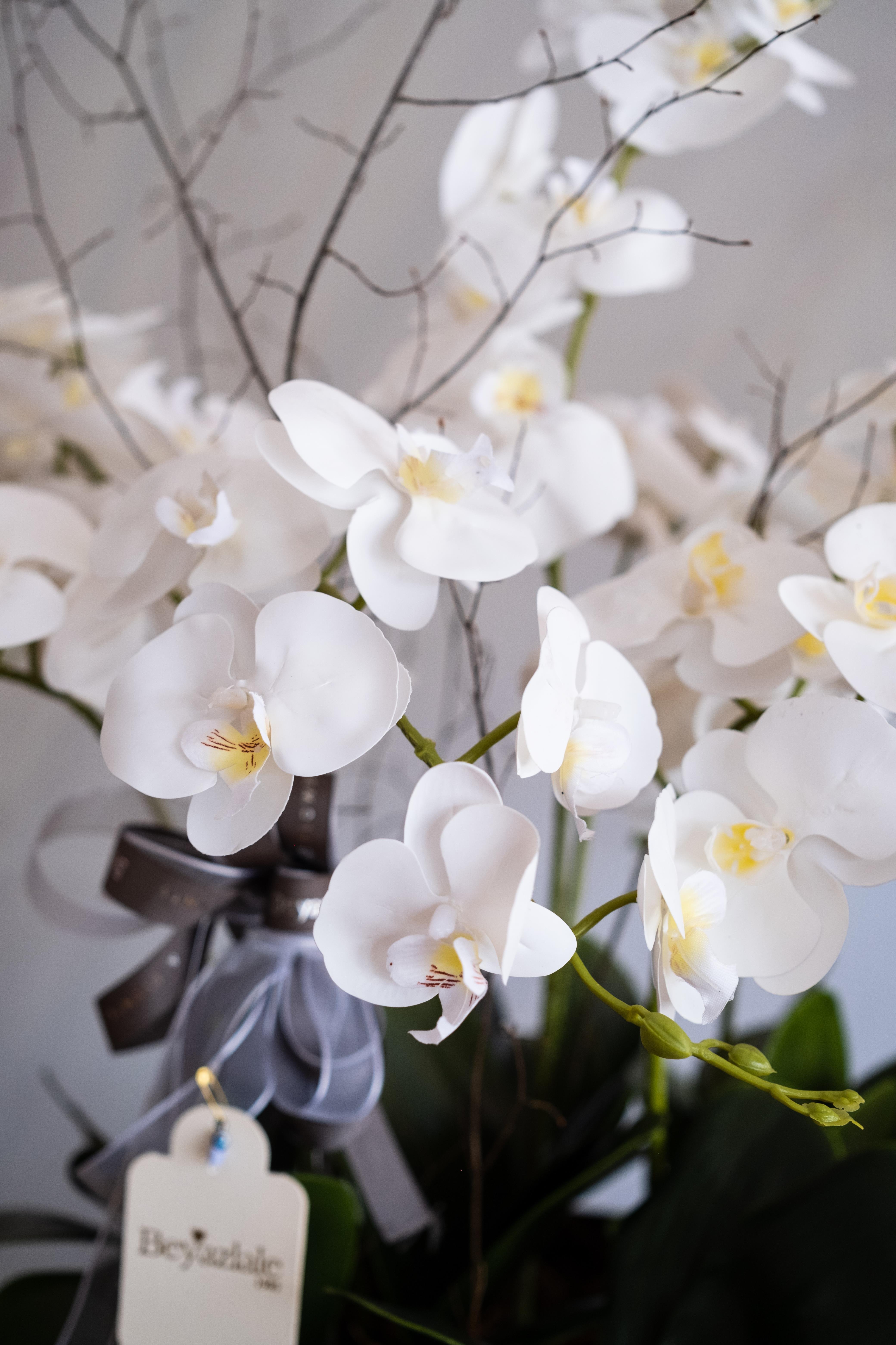 Yapay Orkide Dalı Benekli Beyaz 100 cm