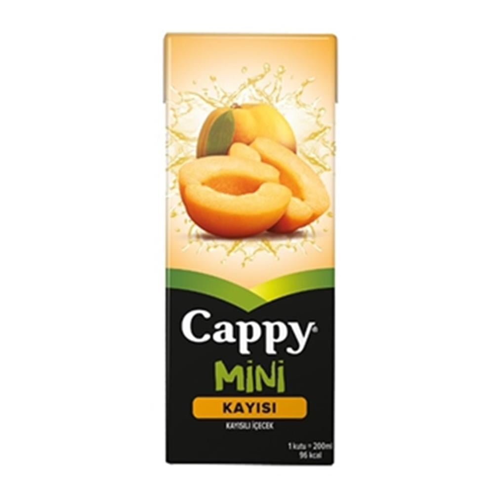 CAPPY KAYISILI MEYVE SUYU 200 MLMEYE SUYUCAPPY440501