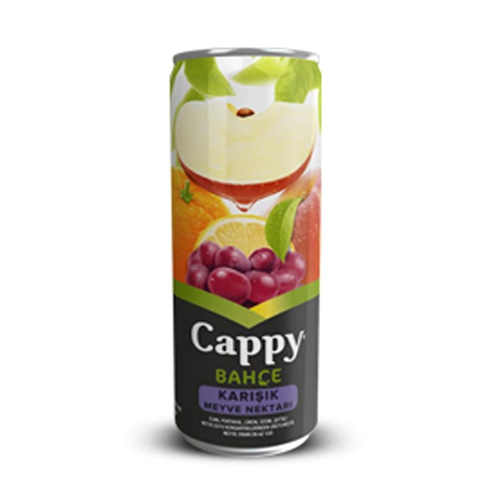 CAPPY KARIŞIK KUTU 330 MLMEYE SUYUCAPPY460411