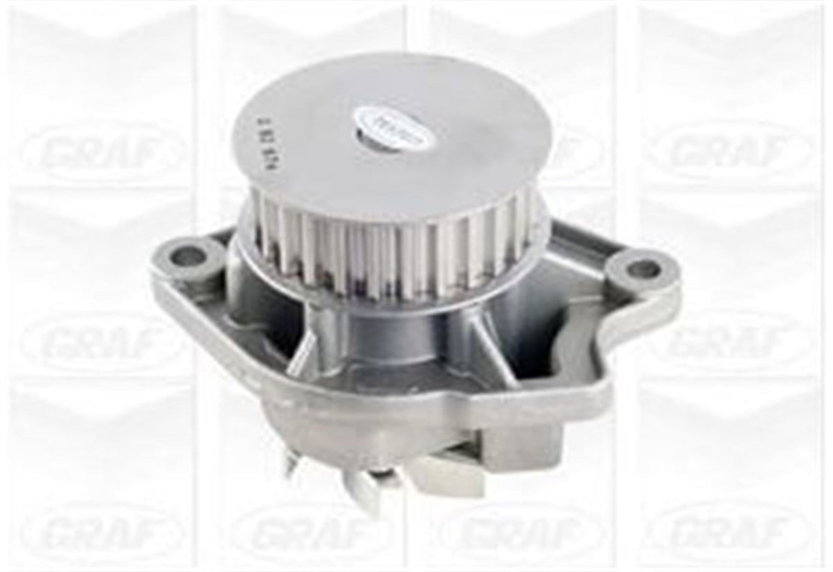 Polo 1.4 CGG Motor Devirdaim Graf Marka | Yedekparcabudur | 036121008L ,  PA674-036121005S