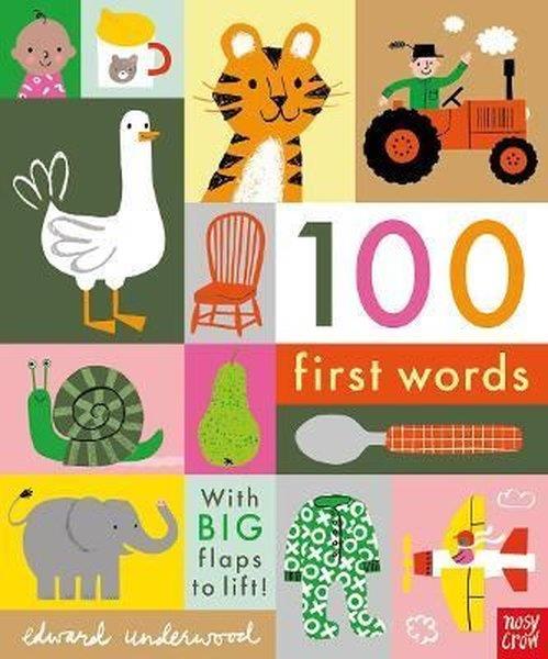 Edward UnderwoodOkul Öncesi Yabancı Dil Çocuk Kitapları100 First Words: With BIG flaps to lift!