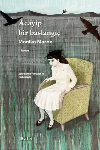 Zehra Aksu YılmazerTürkçe RomanlarAcayip Bir Başlangıç