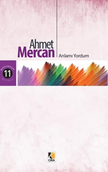 Metin AydostDeneme Kitapları