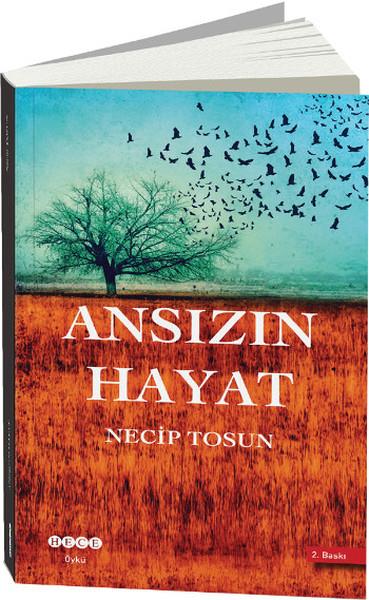 Necip TosunHikaye (Öykü) Kitapları