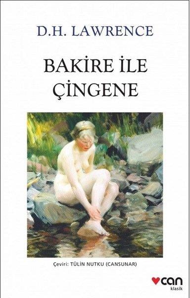 D. H. LawrenceTürkçe RomanlarBakire ile Çingene