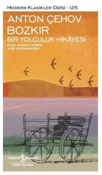 Anton Pavloviç ÇehovGeschichten Bozkır - Bir Yolculuk Hikayesi